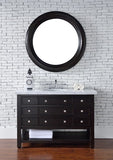 Vancouver 48" Single Vanity w/Drawers, Cerused Espresso Oak