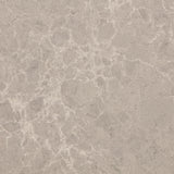Coda Brushed