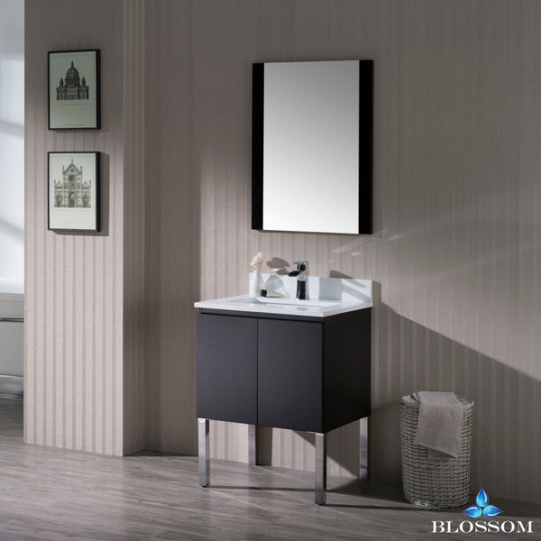 Monaco 24" Vanity Set with Mirror and Chrome Legs