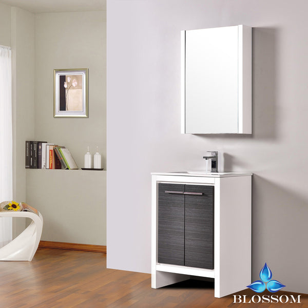 Milan 24" Vanity Set with Medicine Cabinet