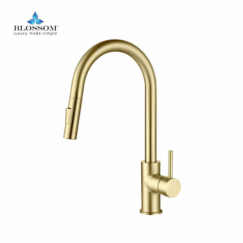 Single Handle Pull Down Kitchen Faucet - Gold - F01 206