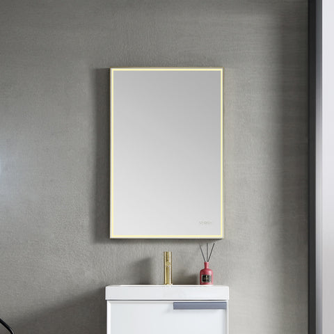 Stellar - 24" LED Mirror Brush Gold Frame