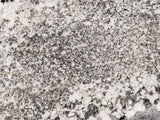 WHISPER WHITE GRANITE